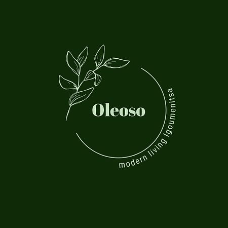 Oleoso Lägenhet Igoumenitsa Exteriör bild