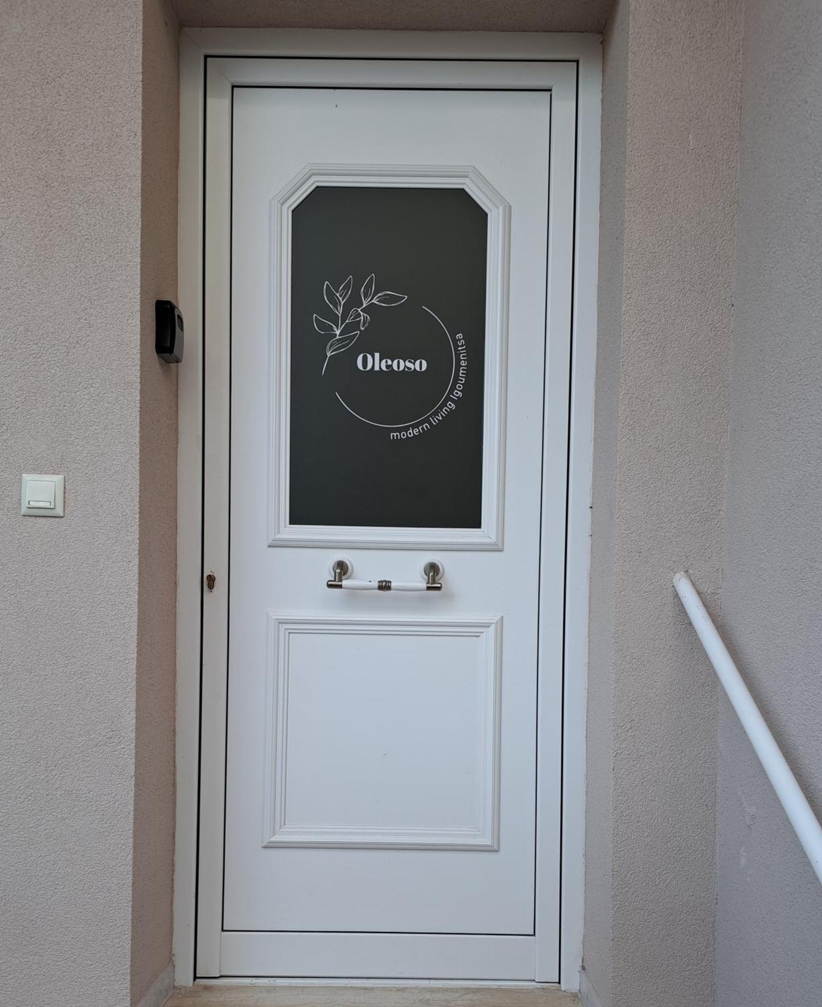 Oleoso Lägenhet Igoumenitsa Exteriör bild