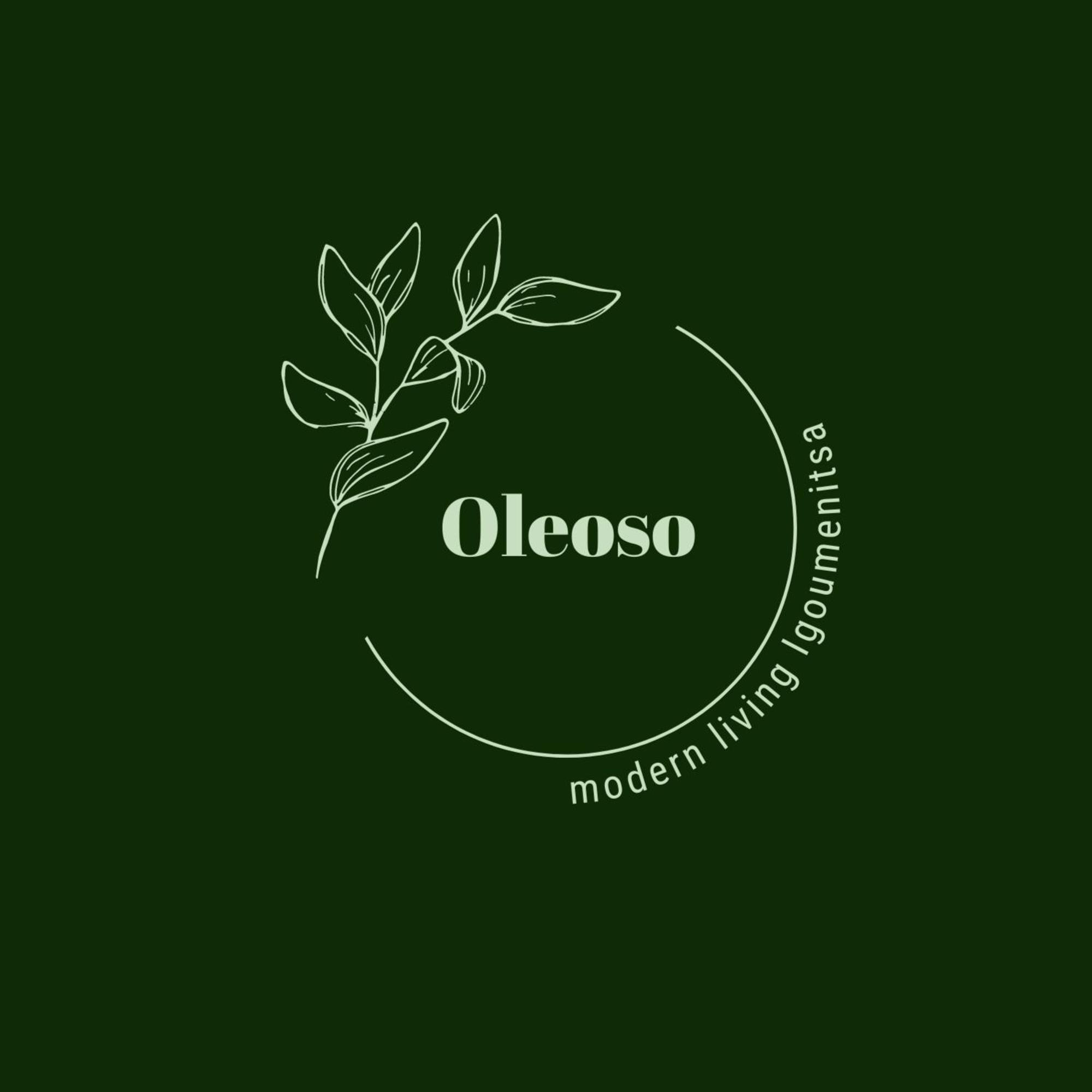 Oleoso Lägenhet Igoumenitsa Exteriör bild