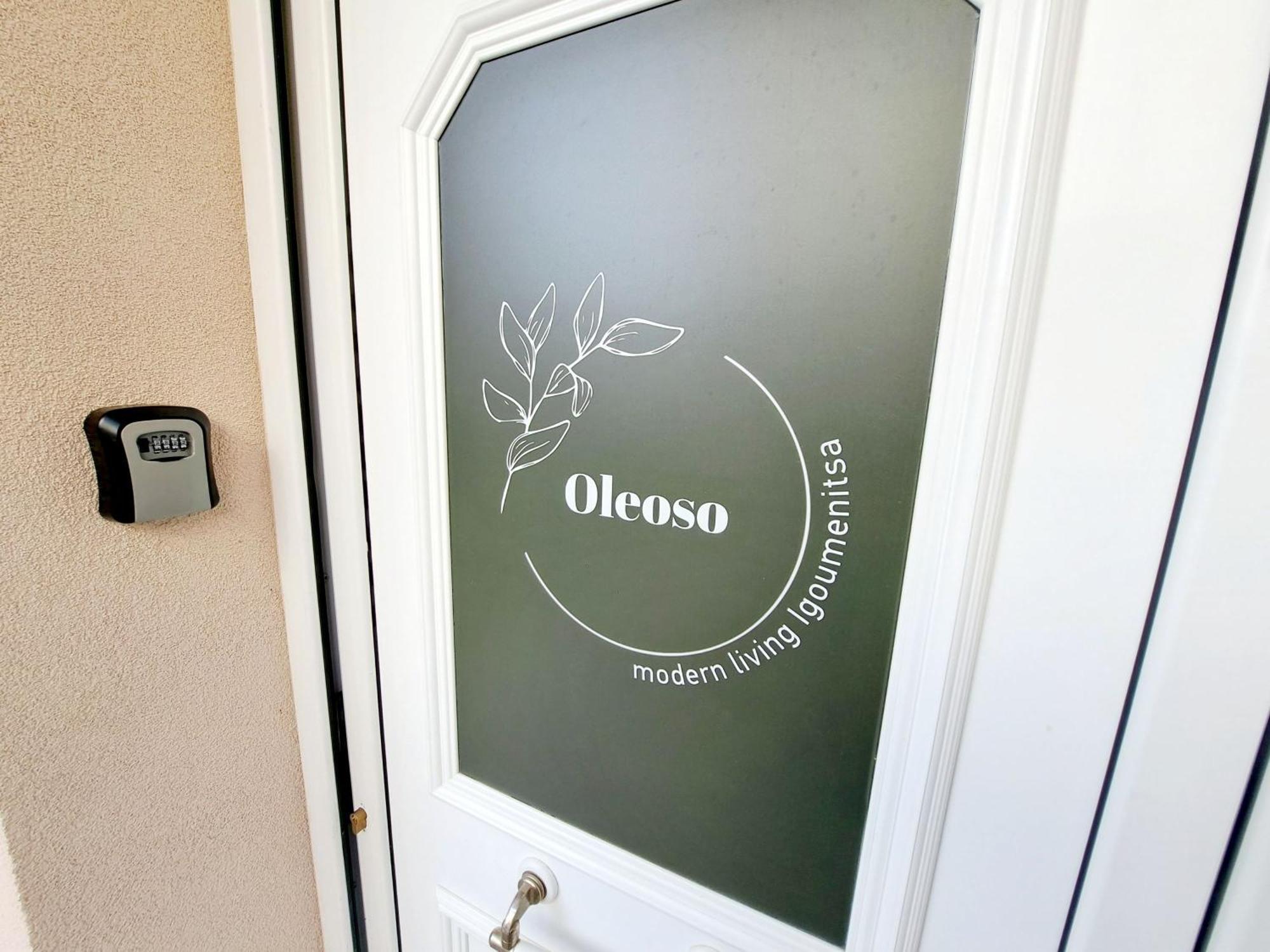 Oleoso Lägenhet Igoumenitsa Exteriör bild